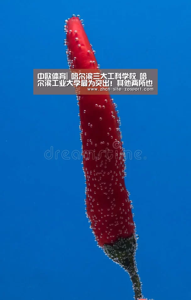 中欧体育平台