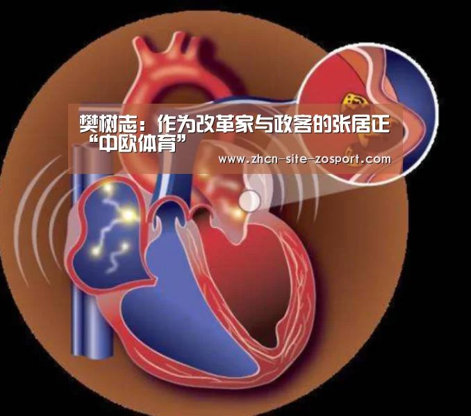 樊树志:作为改革家与政客的张居正“中欧体育”(图1) zoty体育