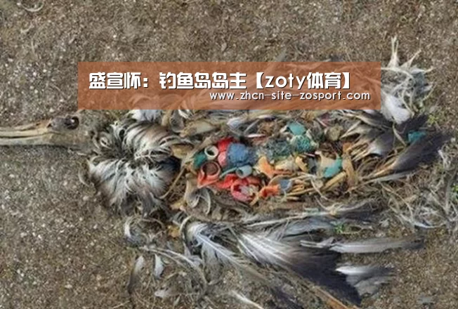 盛宣怀:钓鱼岛岛主【zoty体育】(图2) 中欧体育官网